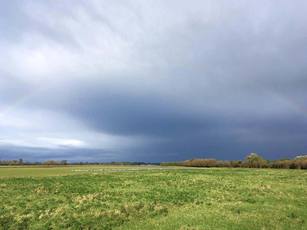 Oxford Ornithological Student Society tweet media