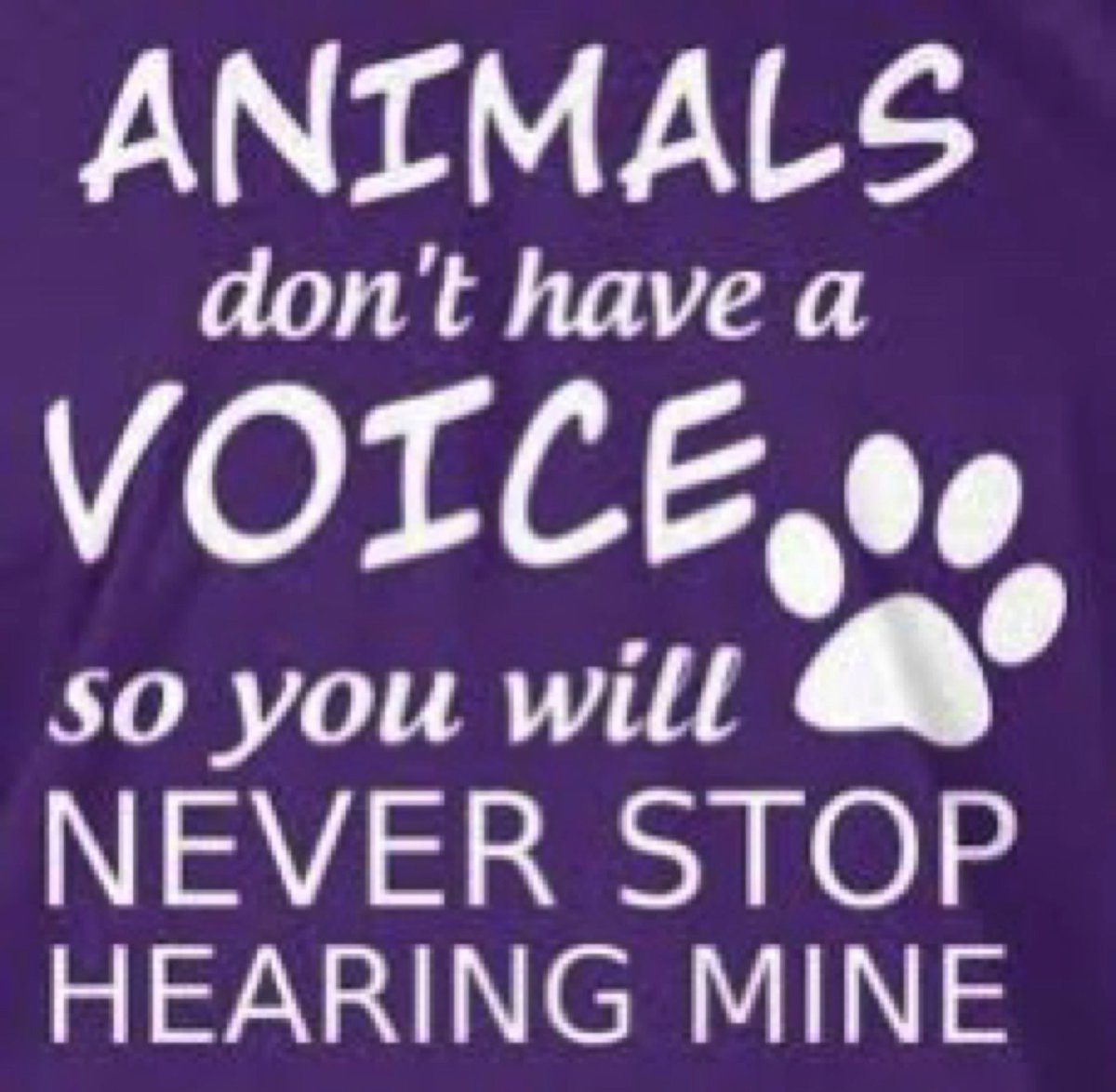 Great to be <a href="/LSBU/">London South Bank University - LSBU</a> again, talking to their #forensics students. I’ve often been back to talk about #entomology, but today was all about the #Links between #AnimalCrimes and #HumanCrimes. 🐾  Always appreciate the opportunity to spread the word.
#StepUpNotBack #Collaboration