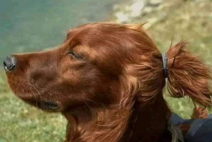 jahannzaib_'s tweet photo. No one
Boys with long hair 😂 https://t.co/wo6XGjVVX4