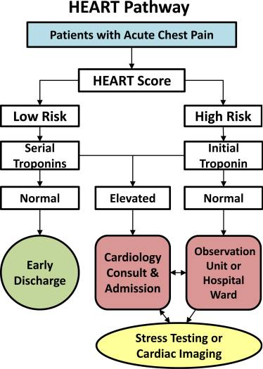 Mdcalc heart score ajr.newslink.org