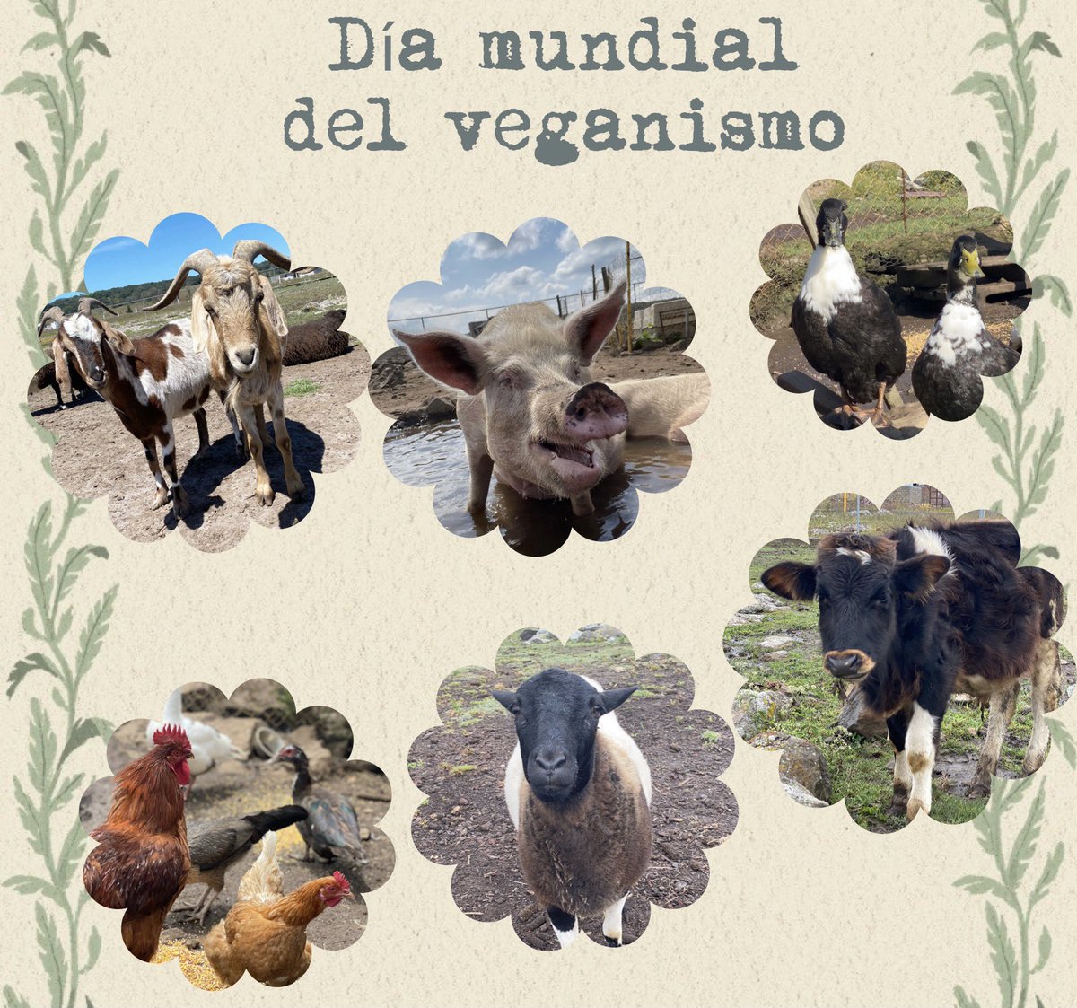 GranjitaTyH's tweet photo. El veganismo es una postura ética y política en contra de toda forma de opresión hacia lxs demás animales. 

Está basado en el principio del antiespecismo, es decir, en contra de la discriminación, explotación y uso de lxs animales por parte de la especie humana. https://t.co/VGjfrJbkH9