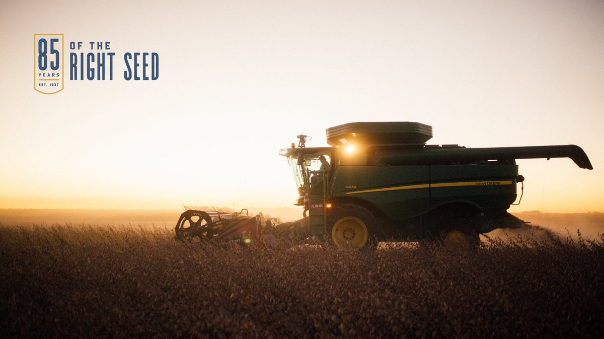 TheRightSeed's tweet photo. From dawn to dusk, thank you to our hardworking farmers.
#85andGrowing #Harvest21 https://t.co/ZcoxUucb5W