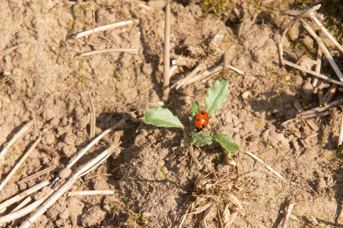 Understand your current carbon footprint, the state of your biodiversity on farm and get a plan for improvement.

Find out how👉trinityagtech.com