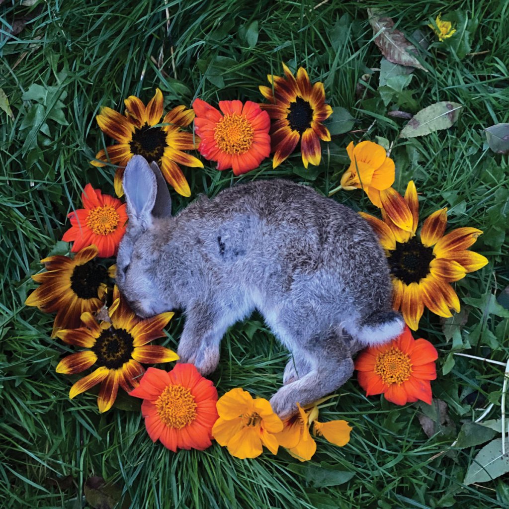 ManiacoDiscos's tweet image. #ElDiscoDelDía 
MONOLORD / YOUR TIME TO SHINE (2021)
El trio sueco cultiva elementos que llevan sus riffs pesados a un nivel más oscuro, canciones más melódicas. Es un viaje lleno de ritmos y un monstruoso doom. El LP abre a un universo progresivo y psicodélico.
#doom #monolord