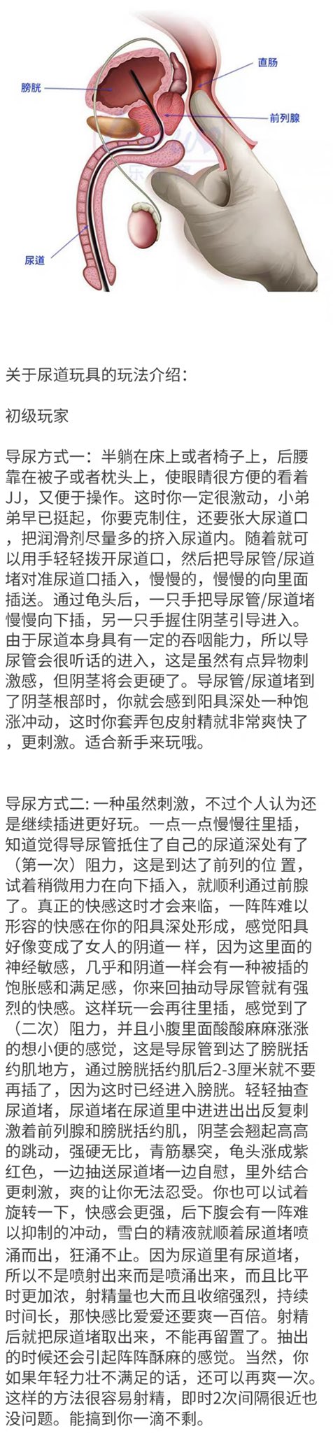 奥兰多低筋粉j on X: 