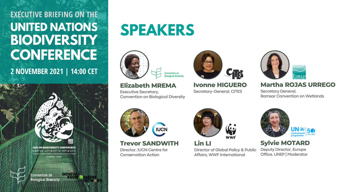 GENetwork's tweet photo. Executive Briefing on @UNBiodiversity Conference #COP15 will discuss the adoption of the #KunmingDeclaration last October setting the stage for the adoption of an effective #Post2020 framework in 2022.
📅 2 Nov 2021, 14.00 CET
Register ▶ https://t.co/uyrzYf4ucy https://t.co/ANhu2zHk4r