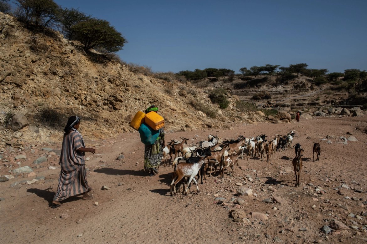 AniDasguptaWRI's tweet photo. The regions contributing the least to climate change are set to be those most impacted.

Africa contributes only 4% to global emissions, yet up to 86 million people could be forced to migrate by 2050 due to climate change. 

We must right this climate injustice [1/3] https://t.co/jfSJeGXN39