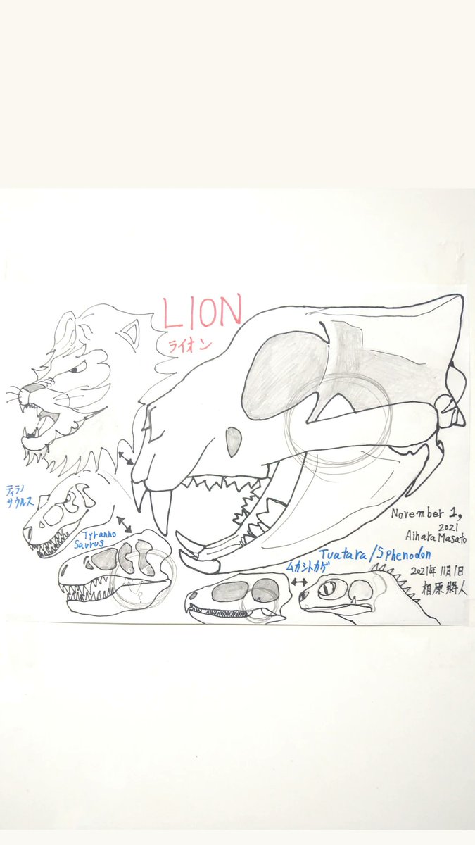 zpa28ma55ma1's tweet photo. 🦁🦖🦎「Please check the points in the illustration♪」🦁🦖🦎 #Tyrannosaurus #LEON #Tuatara #Sphenodon #CheckOut #point #dinosaurs #dinosaur #illustration #illustrationart #illustrator #art #mystery #dinosaursillust #相原將人 #Aiharamasato #NewYork #paris #London #Germany https://t.co/FNGFefjlLJ