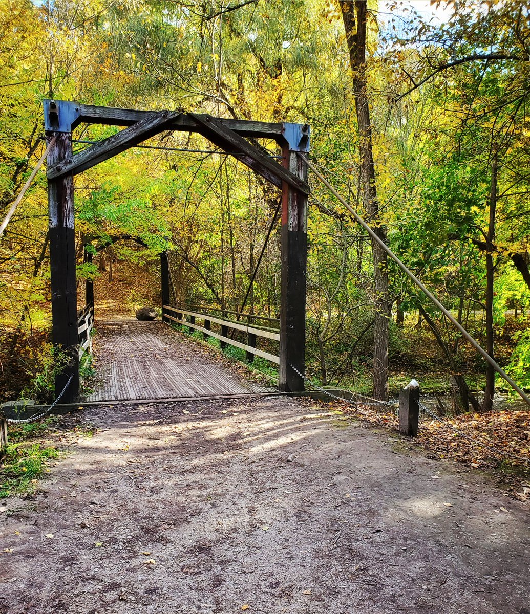 FeelingIndigo87's tweet photo. Been living in this neighborhood for almost three years and finally did a my first walk through Warden Woods๐
#Fall2021 #FallWalk #Fall https://t.co/zgIdlRMil3