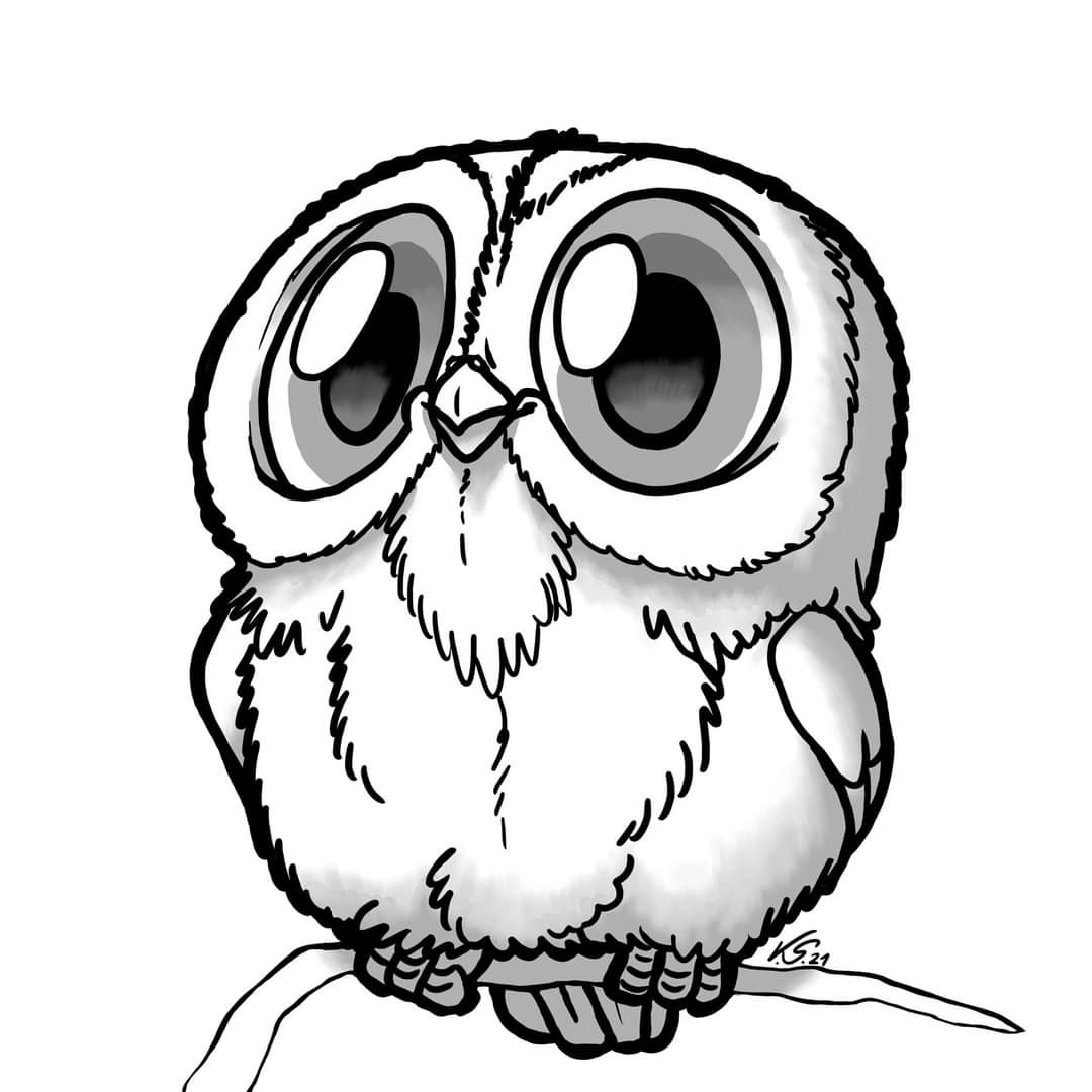 how to draw a cute baby owl