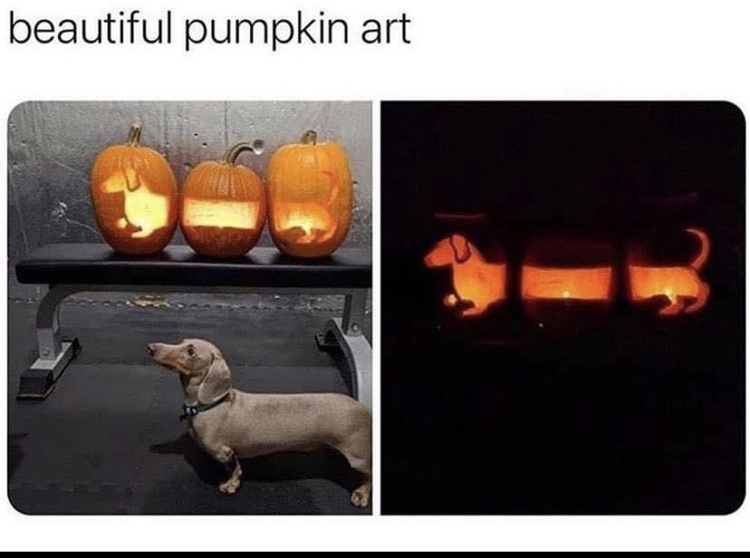 WholesomeMemes tweet media