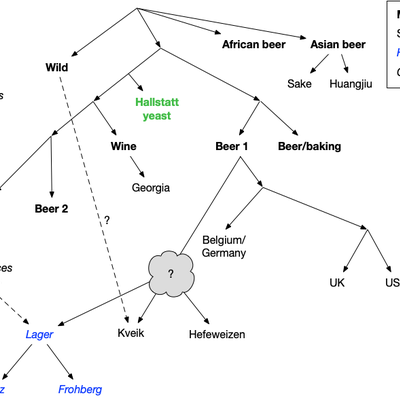 Craft Beer Time's Photo