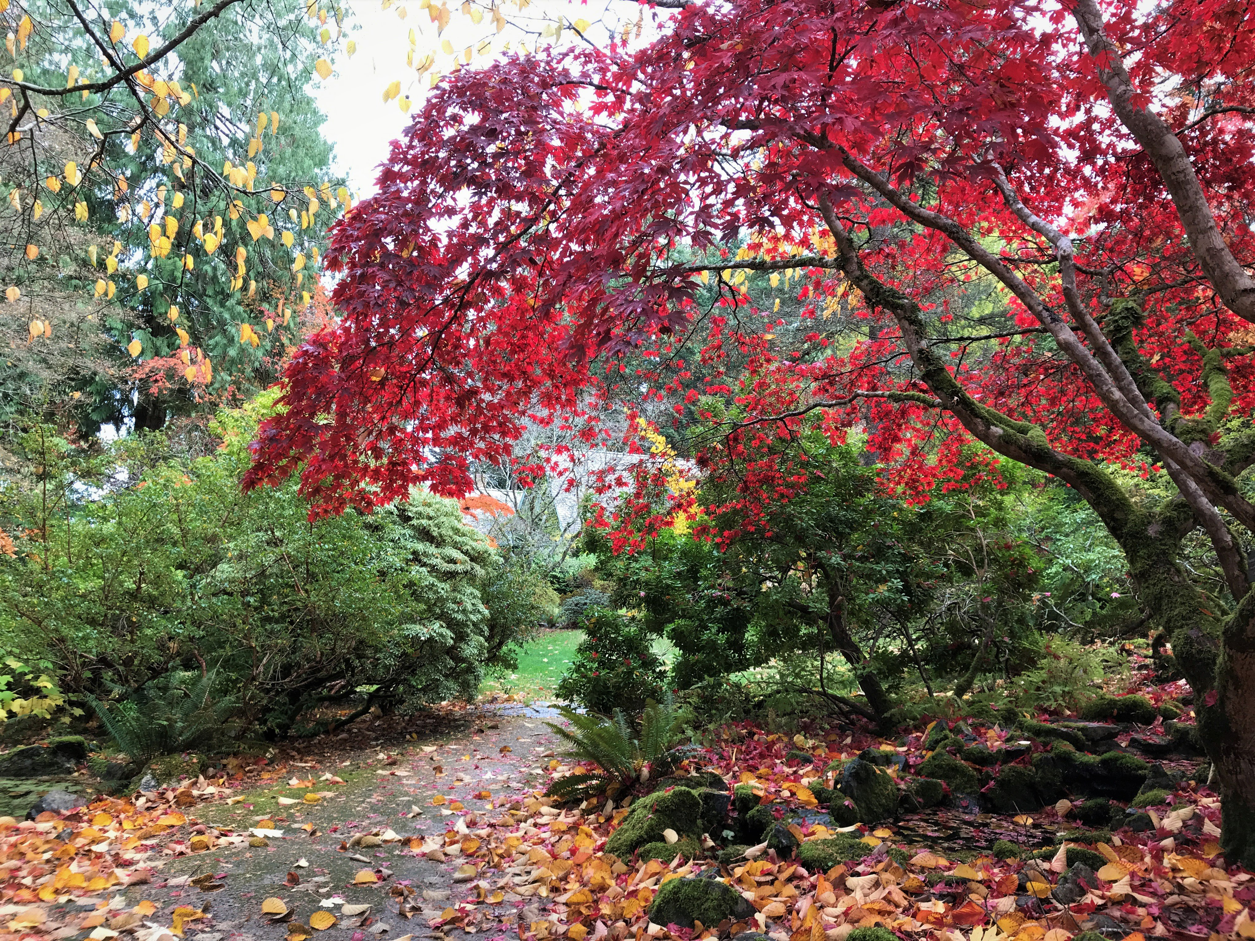 Milner Gardens Christmas Magic 2022 Milner Gardens (@Milnergardens) / Twitter