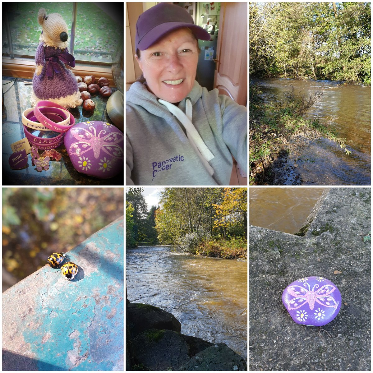 Cuckooqueen's tweet photo. Day 1 #takeiton @PancreaticCanUK Just over 10k today and no chocolate 🤣💜 #purplerocks hidden on my walk https://t.co/nf0z1gnYv5 https://t.co/fl3qM3Pr5K