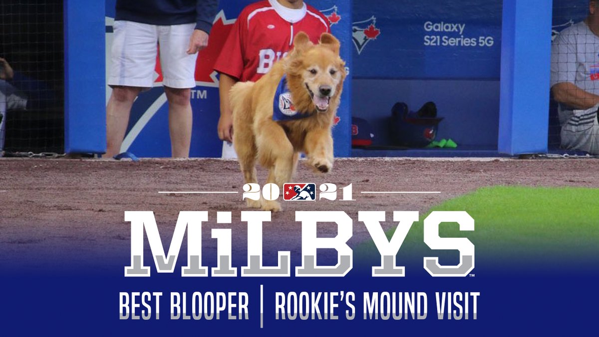 BuffaloBisons's tweet photo. There's still time to vote for our favorite pup! 
 @BatdogRookie is up for a "MiLBY Award" &amp; voting ends Wednesday! 
✅: https://t.co/fH5BNGgQSl https://t.co/ubiUSPoI4Q