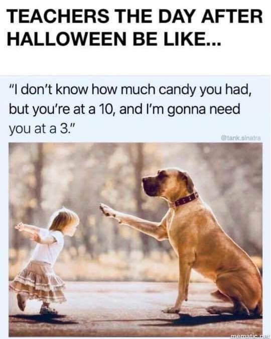 teachergoals's tweet photo. The struggle is real. 💯
📷 @tanksgoodnews https://t.co/TagyxVyTYN
