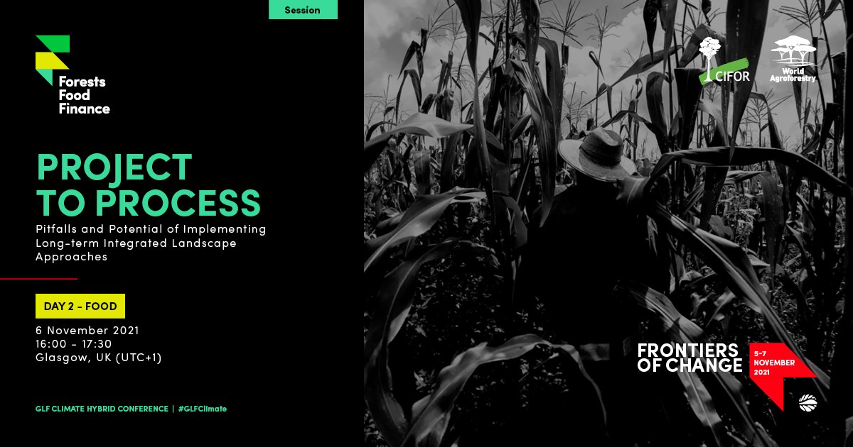 Sunderland Lab tweet media