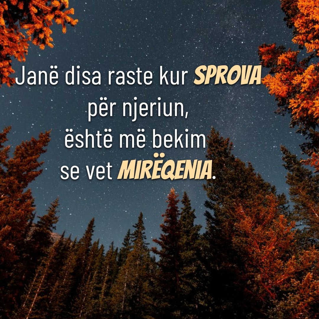 LutjeDitore's tweet image. #Sprova