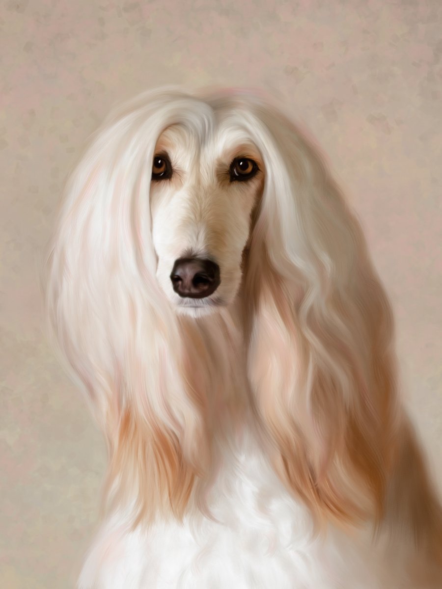 AonHaraj's tweet photo. No one
girls with their hairstyles
#Munasib https://t.co/GcxcPttUQn
