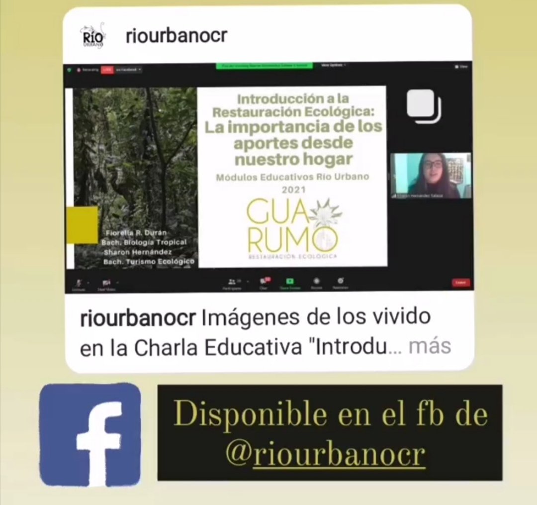Guarumo Restauración Ecológica tweet media