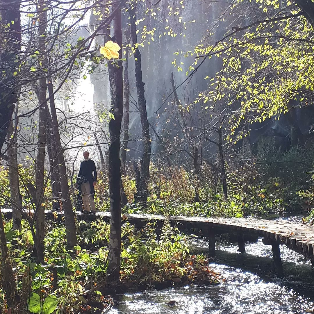 dhnevins's tweet photo. Another magical day at Plitvice National Park, Croatia.
Tomorrow, we'll travel to Slovenia. That won't be a bad way to spend my birthday!
#plitvicelakes #Croatia #backpacktraveller https://t.co/B9vZPYKLNp