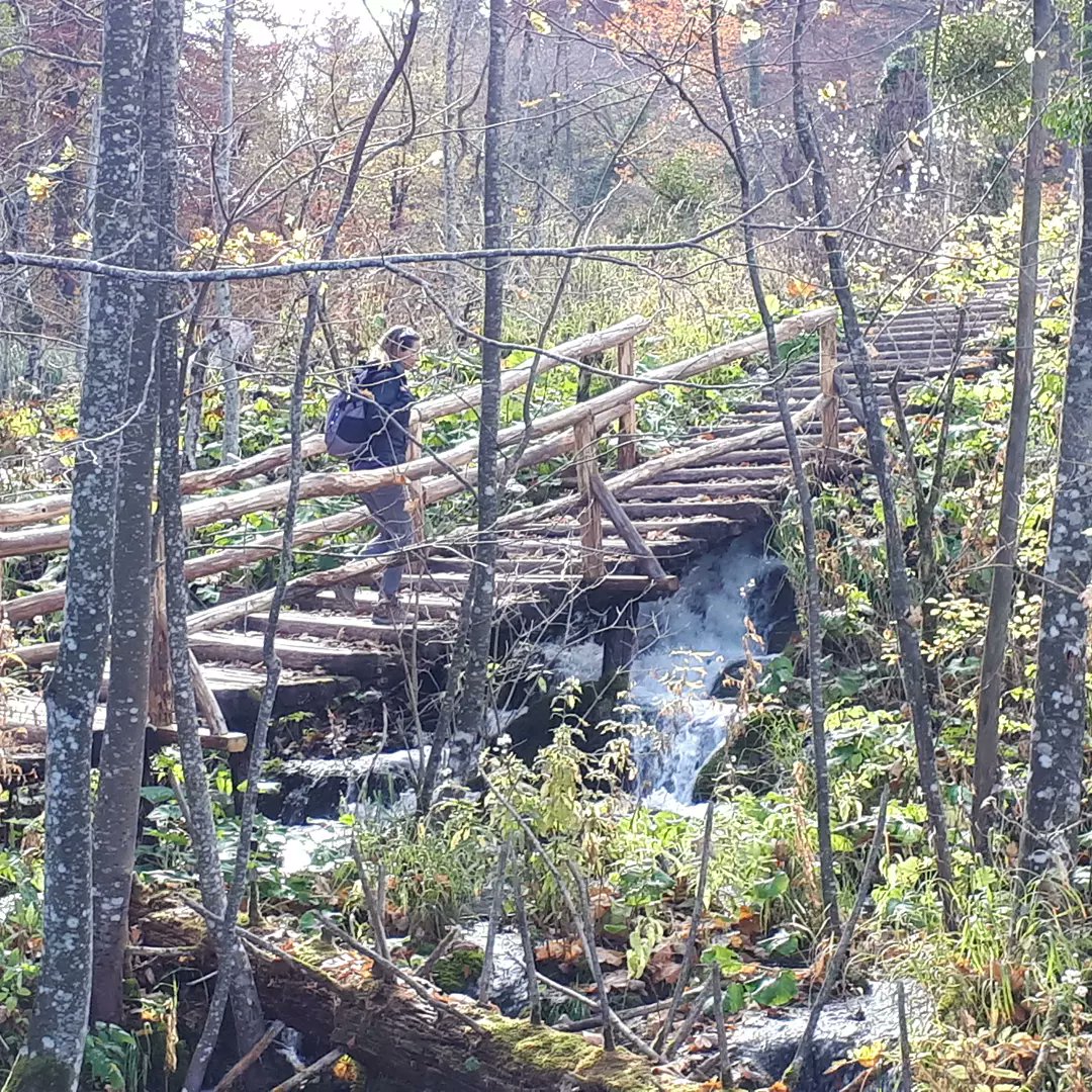 dhnevins's tweet photo. Another magical day at Plitvice National Park, Croatia.
Tomorrow, we'll travel to Slovenia. That won't be a bad way to spend my birthday!
#plitvicelakes #Croatia #backpacktraveller https://t.co/B9vZPYKLNp