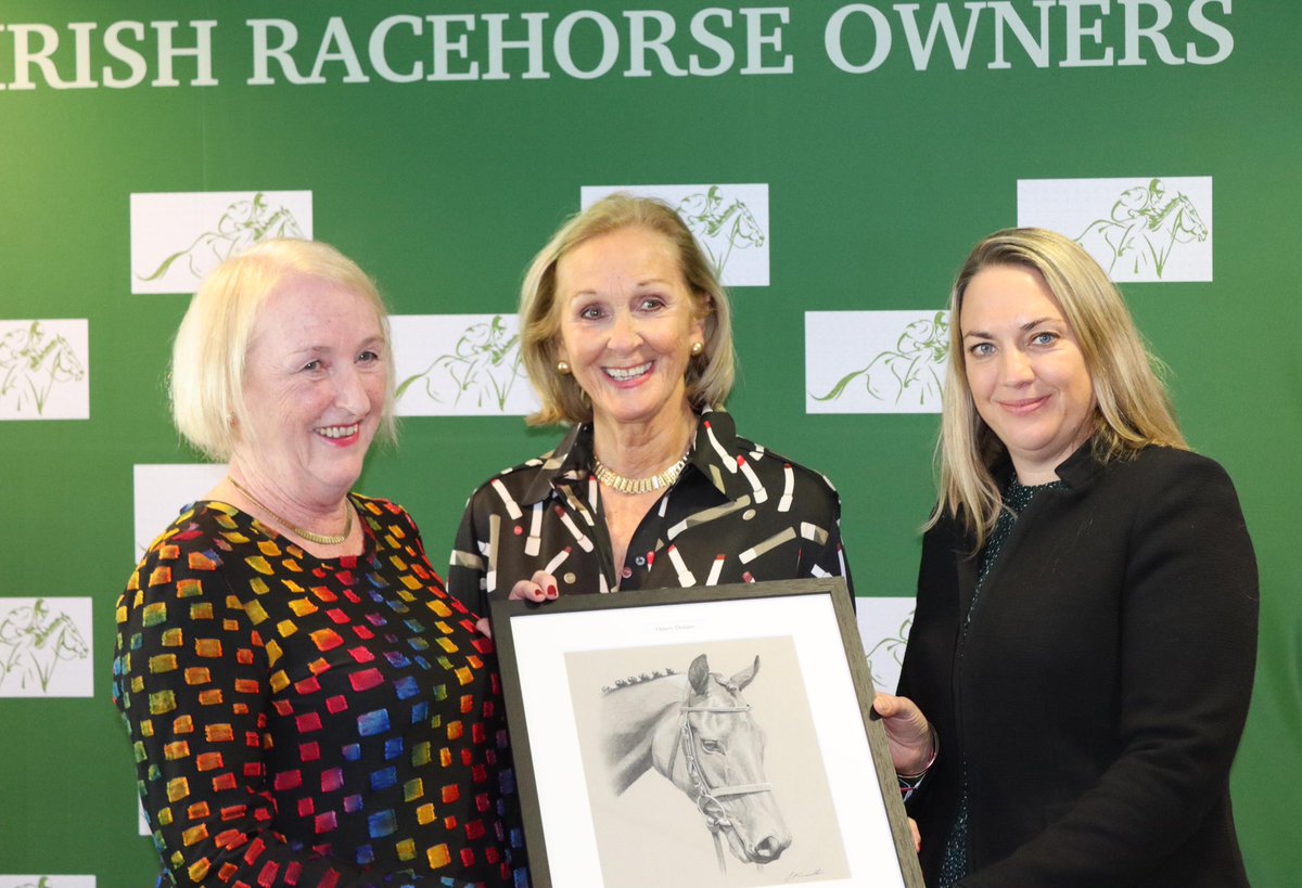 AIRO_Owner's tweet photo. More AIRO Flat award winners from @NaasRacecourse yesterday https://t.co/2vfYj75Qsu