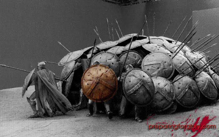@CAPYBARA_MAN TORTOISE DEFENSE SHIELD FORMATION!