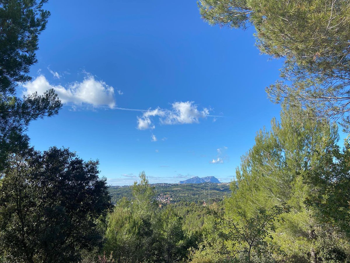 montsecarrasco's tweet photo. Avui algú ha tret a passejar els núvols i els ha lligat d’un fil ☁️☁️☁️☁️ #serradegalliners #senderisme #muntanyademontserrat https://t.co/sn0pdBhtxm