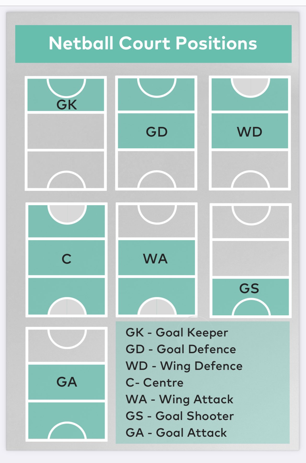netballcourtPosition