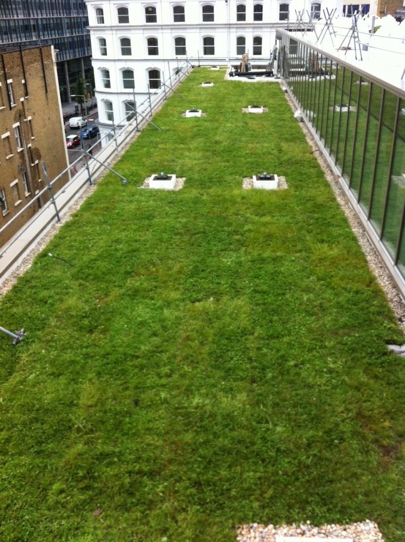SkyGardenUK's tweet photo. Cities are going green to adapt to #climatechange. #Greenroofs provide vital #wildlife #habitats and make life better for everyone.
#mondaymotivation #environment #nature #greenroof #brownroofs #biodiversity #eco #urbangreening #greenspaces #greenitall https://t.co/P5PHXF5rc4