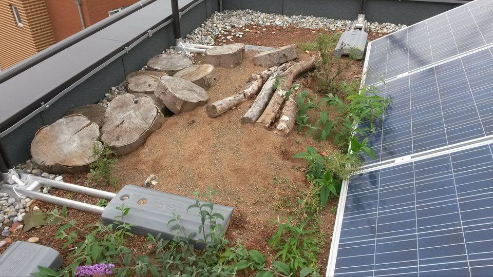 SkyGardenUK's tweet photo. Cities are going green to adapt to #climatechange. #Greenroofs provide vital #wildlife #habitats and make life better for everyone.
#mondaymotivation #environment #nature #greenroof #brownroofs #biodiversity #eco #urbangreening #greenspaces #greenitall https://t.co/P5PHXF5rc4