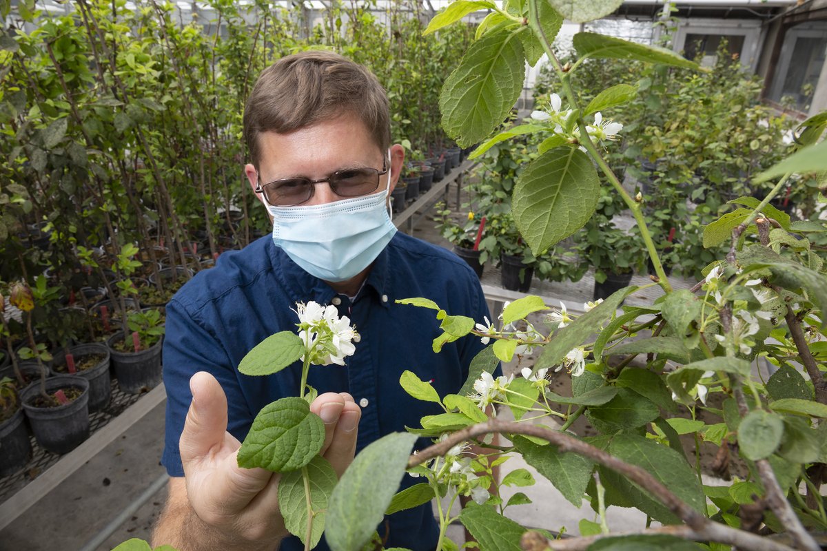 USDA_ARS tweet picture