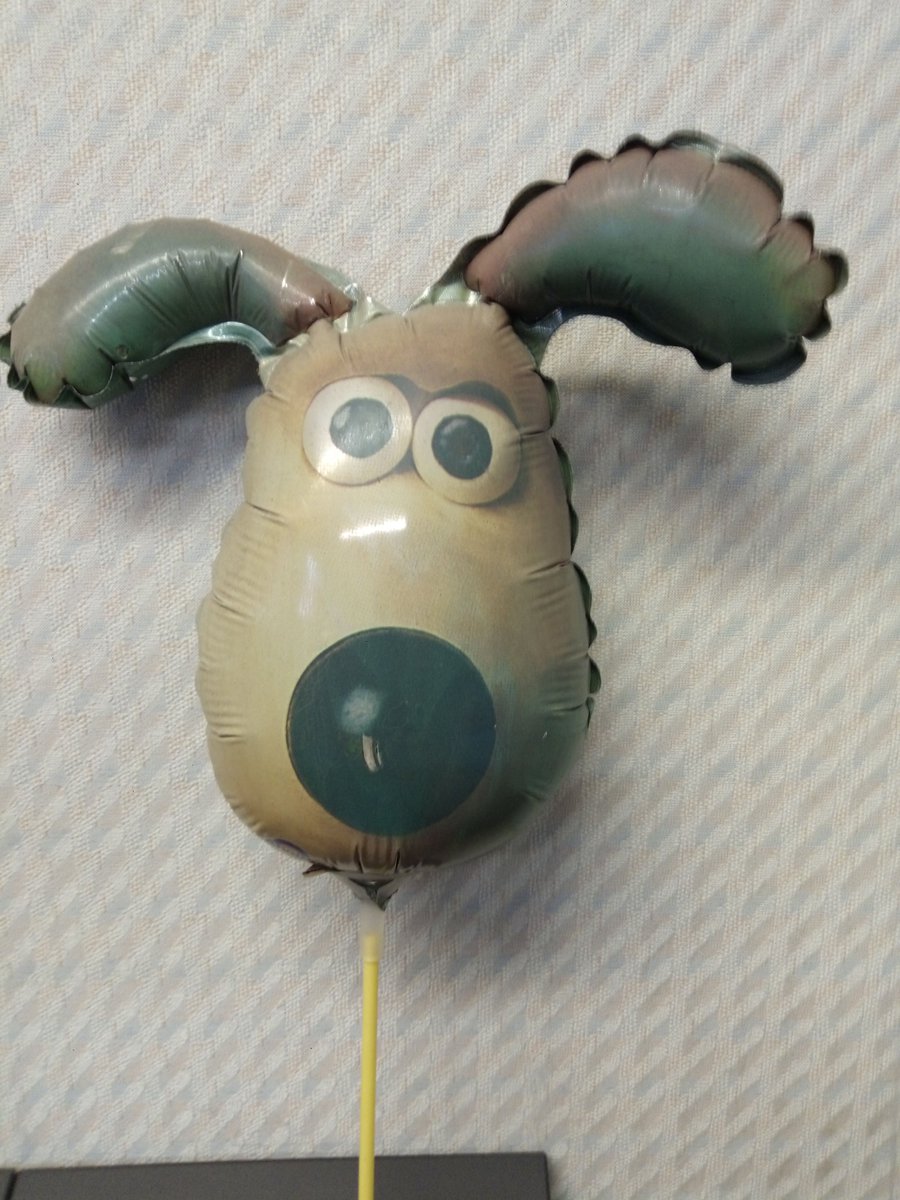 barnitts's tweet photo. Gromit looks a bit faded but has lived in Barnitts office every day since… 1989 or 1990. Not bad for a foil balloon full of helium, still fully inflated over 30 years later. Anyone have an older inflated balloon? #justforfun #worldsoldestballoon #barnitts #heliumballoon https://t.co/nYHLh4BUH4