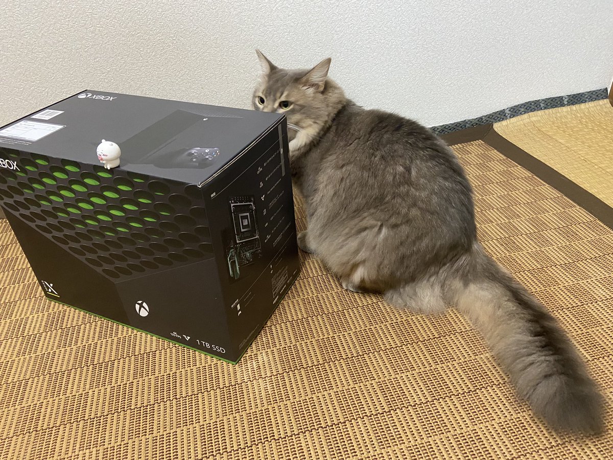 neomilliy's tweet photo. Xbox Series X 買えました！ 画像は隠れてたけどお尻が見えてて逃げ出したアニマル ミﾋﾟｬｯ! https://t.co/jhVAxOCs2V