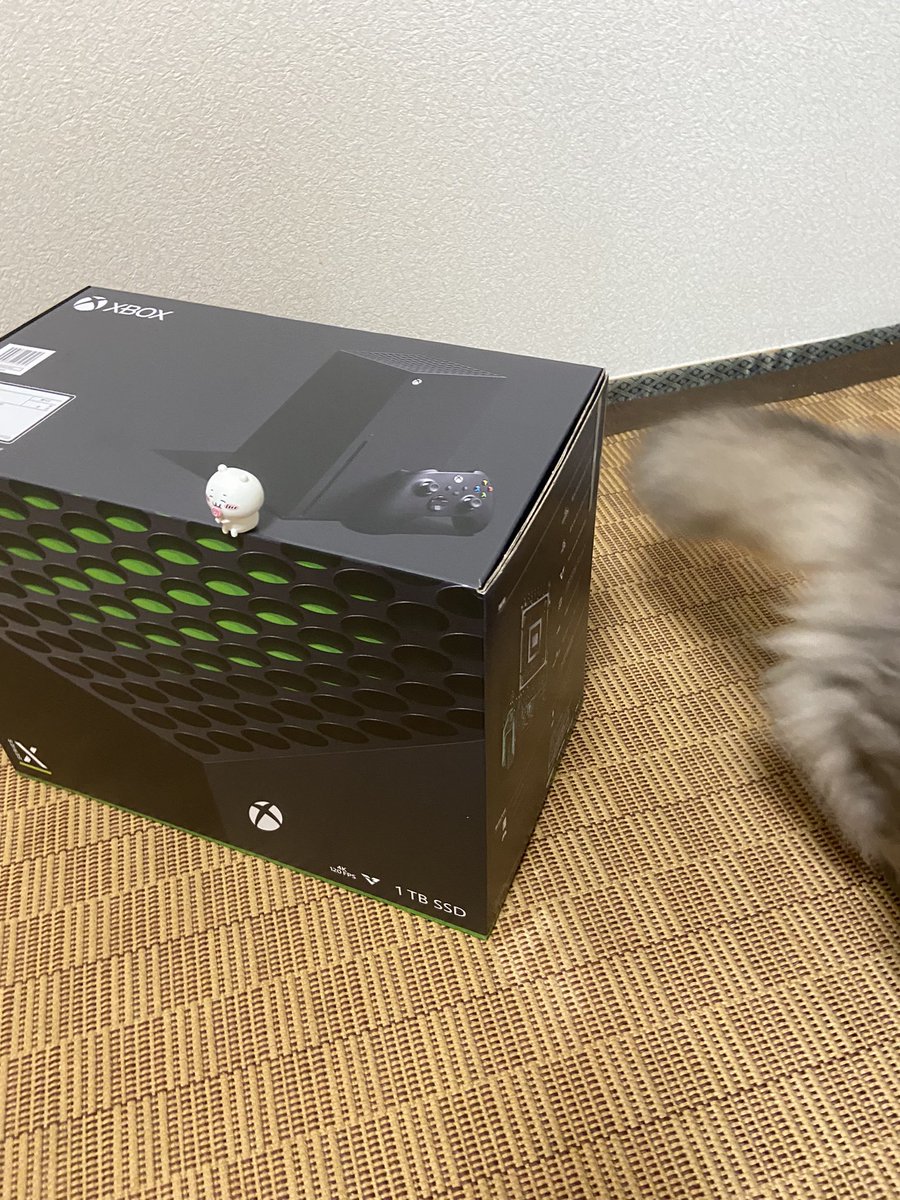 neomilliy's tweet photo. Xbox Series X 買えました！ 画像は隠れてたけどお尻が見えてて逃げ出したアニマル ミﾋﾟｬｯ! https://t.co/jhVAxOCs2V