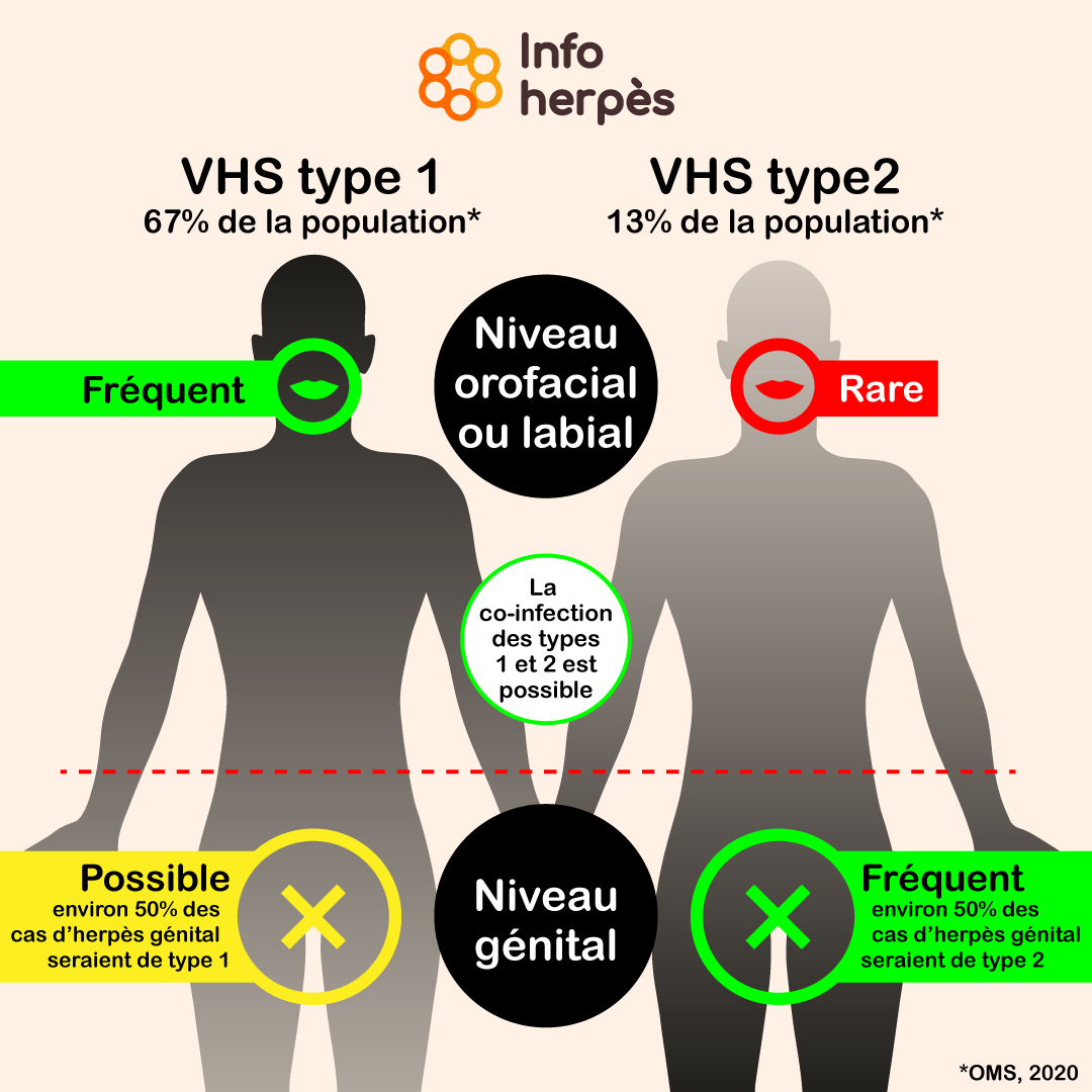 Info-Herpes tweet media