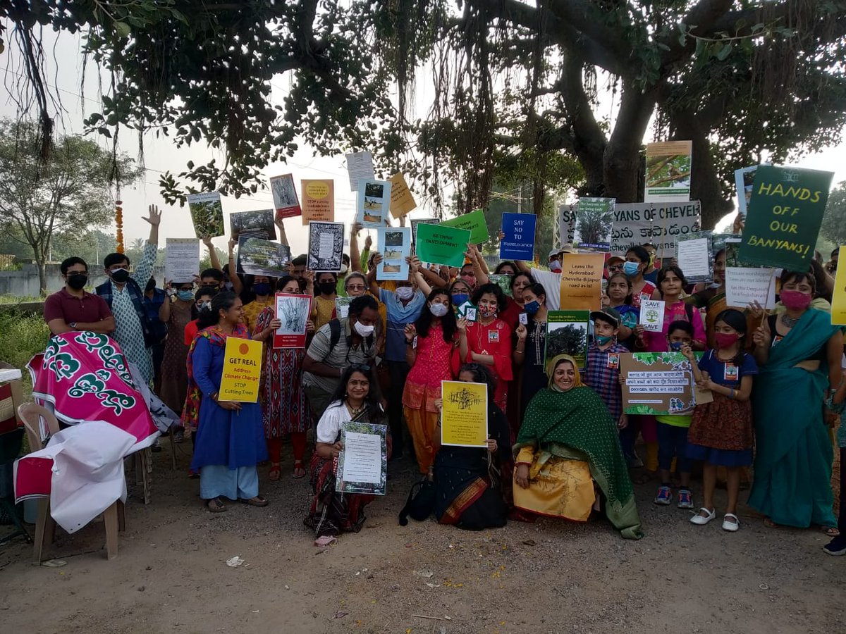 Over 200 people from Hyderabad gathered around a cluster of Banyan trees in Chevella to celebrate Deepavali with the magnificent, century-old trees, in a bid to show solidarity with the trees and protest the proposed felling for a highway expansion project.