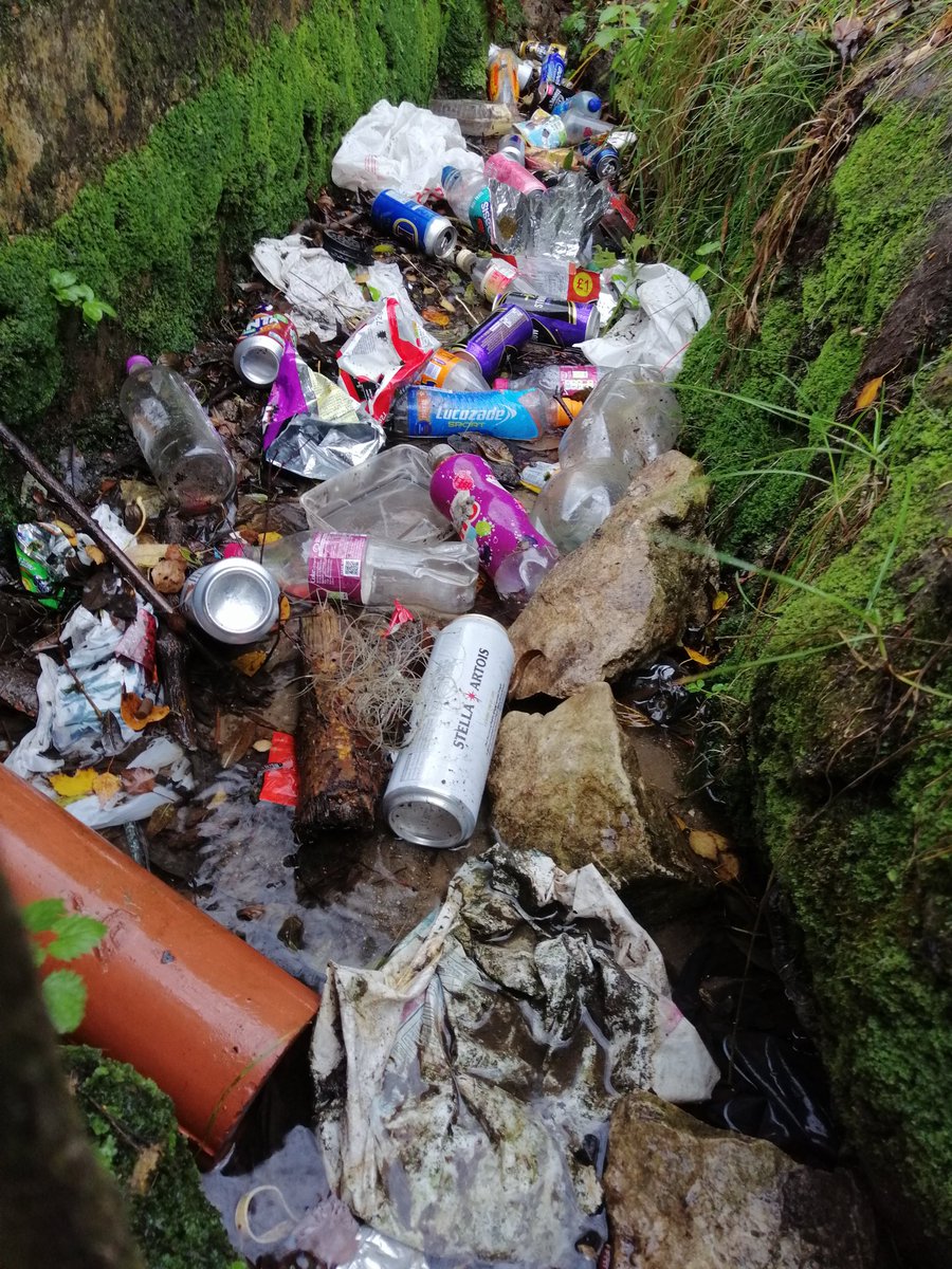 URewilding's tweet photo. @MySekitar @ubi_my Shocking, but it could be worse - just look at this English watercourse!😔 https://t.co/EflHpfFtom