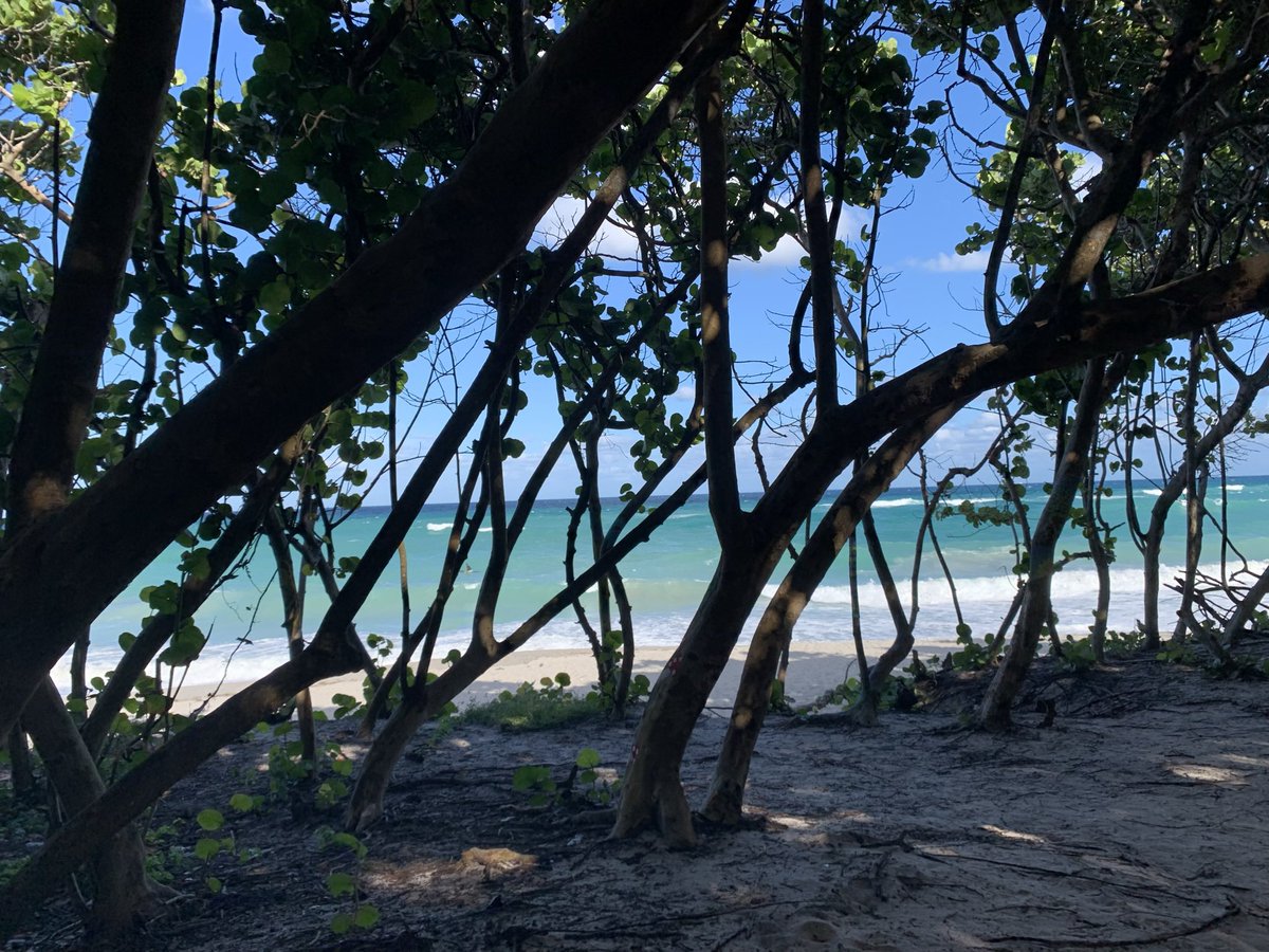 Interested in understanding how ribosomes are made and chaperoned? How mistakes in assembly are identified? Or how misassembled ribosomes lead to disease? JOIN US!
We are looking for postdocs! I support all career aspirations, and strive to provide an inclusive environment. 👩🏽‍🔬👨🏼‍🔬