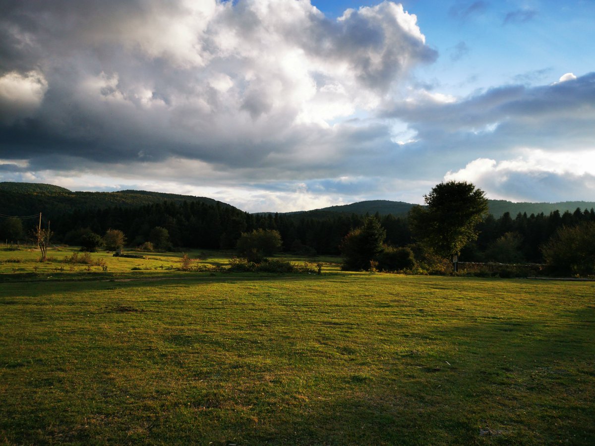 Sonbaharın son demleri
Kanlıca mantarı ve Aladağlar Bolu