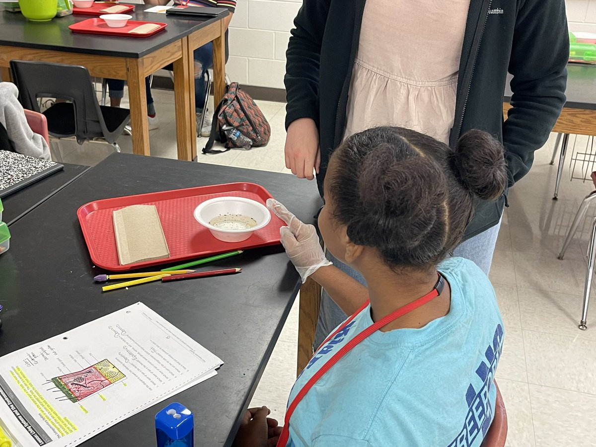 7th graders in Mrs. Allen’s science class learn about body systems. Today they did an experiment putting their gloved finger in water and pepper to gain a better understanding of how our skin protects us from germs. #BISDpride #BISDscience #FISistheBest