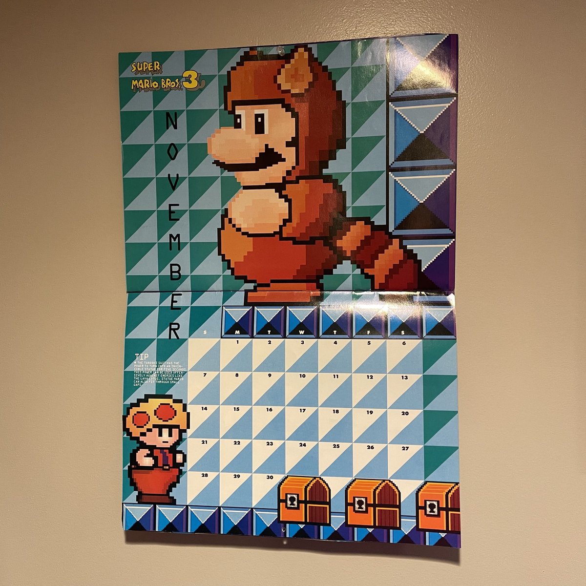 StoneAgeGamer's tweet image. Welcome to November! Make sure you stop by your local Toad House for some items. #OutdatedCalendar #supermario #November