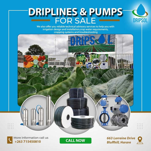 dripsolutionzw's tweet photo. Quality and Durable Driplines and Pumps for sale... For your Pressure compensated  drip line and Non-Pressure compensated Dripline look no further!! 
Call us today: +263 78 239 5484 , +263 71 545 0810 https://t.co/1xQcsVrFt1