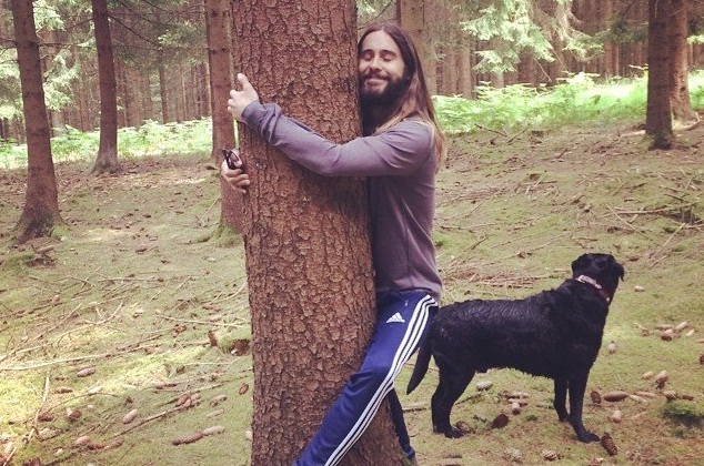 VladSantos_80's tweet image. #PODEouNÃOPODE
E esse meme clássico de 2014?
Abrace uma árvore.