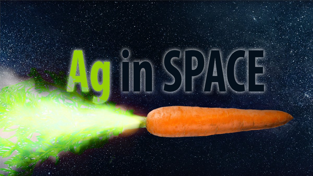 USDA_ARS's tweet photo. Wondering what crops are ideal for growing in space? At the top of the list are low growing and high yielding crops. Also, those where a large percentage of the plant is eaten/used. Read more in ARS Under the Microscope https://t.co/lS97VBUaO3 #AgInSpace https://t.co/RCU1Lmqk9t