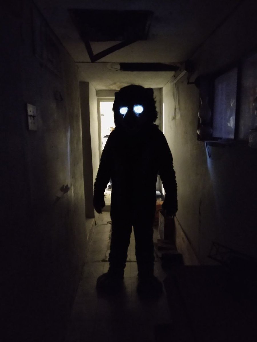 EplcFurgroup's tweet photo. We welcome all local furs to join us next year for our 2022 Halloween party, fun contest prizes and many many games!
#halloween2021 #eplcfurgroup #EPLC #ElPaso #lascruces #furries #fursuitHalloween https://t.co/gfGQThqyol