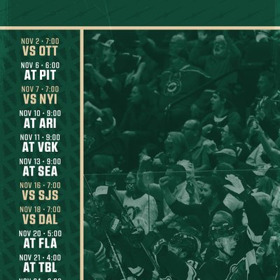Minnesota Wild's Photo