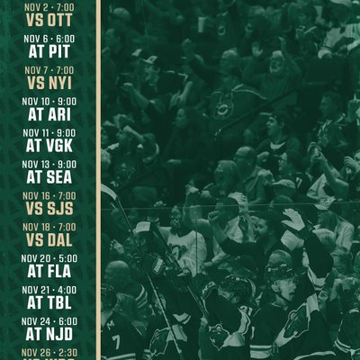 Minnesota Wild's Photo