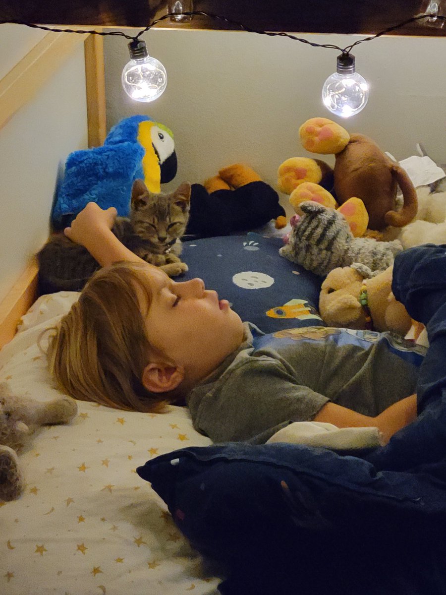 SaraEngle5's tweet photo. Oh to sleep like a kitten ans child https://t.co/DcckqNFLkJ